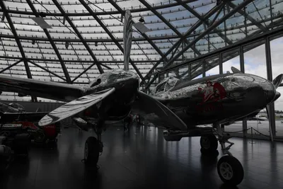 DSC_7091 (Large).JPG